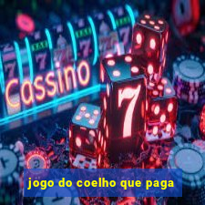 jogo do coelho que paga